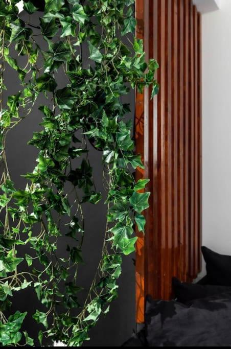 Novel Acropolis Apartment Atina Dış mekan fotoğraf